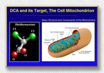 DCA Cancer Treatment Alternative